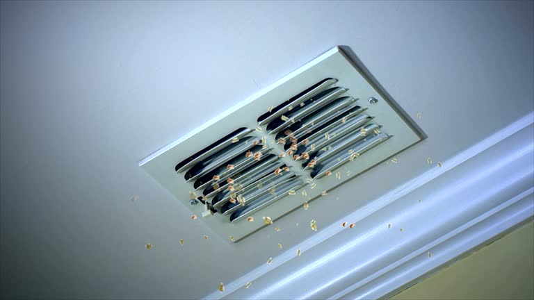 Best Commercial Air Duct Cleaning  in Valley View, OH